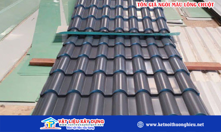 Tôn giả ngói màu lông chuột